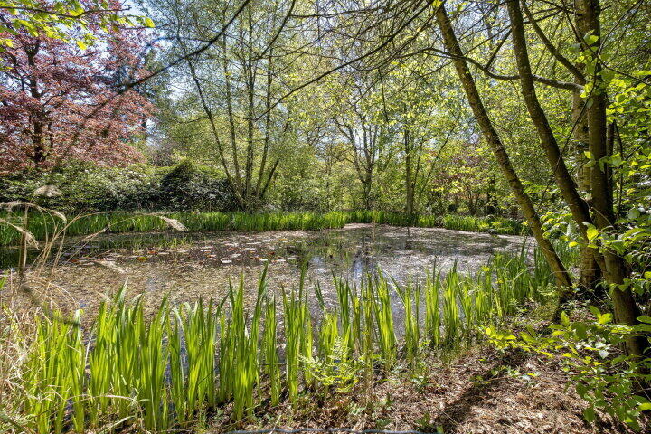 Foto 60 - Smalbroeksweg 6, Elp