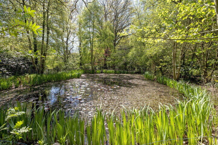 Foto 61 - Smalbroeksweg 6, Elp