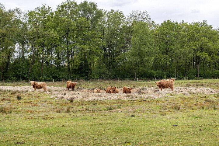 Foto 68 - Smalbroeksweg 6, Elp
