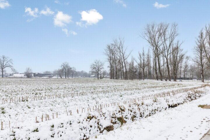 Foto 52 - Speelmanstraat 11 A, Halle