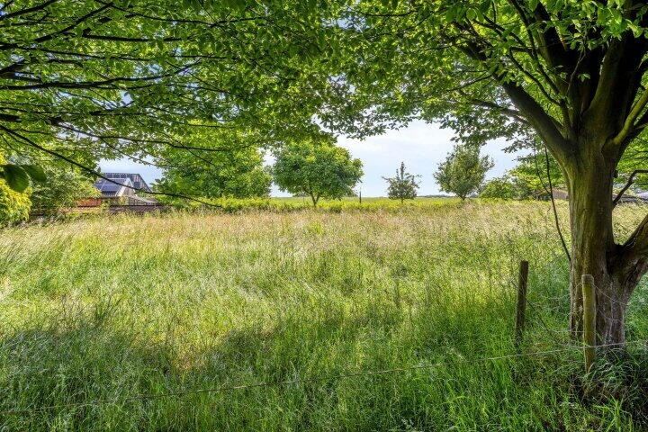Foto 42 – Spekstoep 14, Gieten