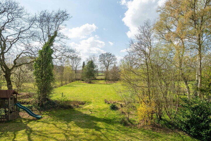 Foto 24 – Sprakelingen 17, Wittelte