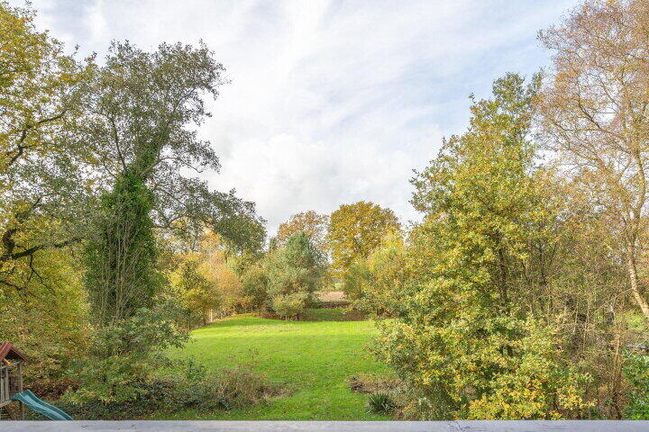 Foto 33 – Sprakelingen 17, Wittelte