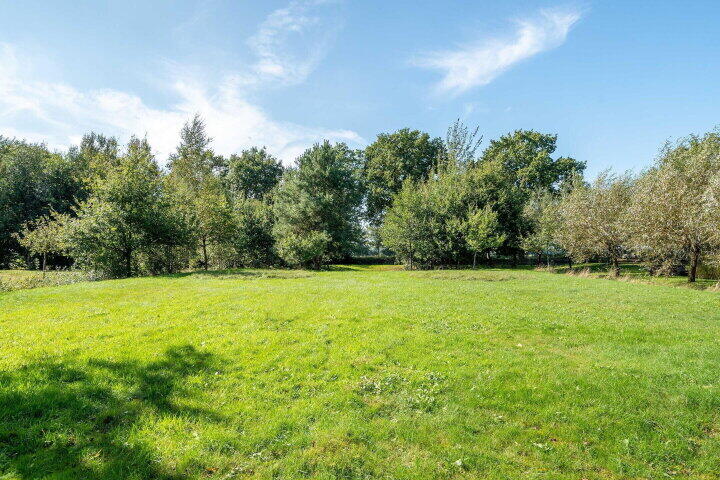 Foto 35 – Sprakelingen 17, Wittelte
