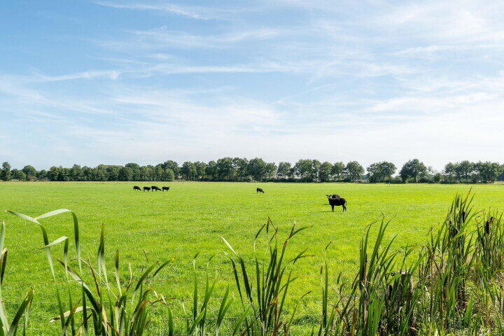 Foto 36 – Sprakelingen 17, Wittelte
