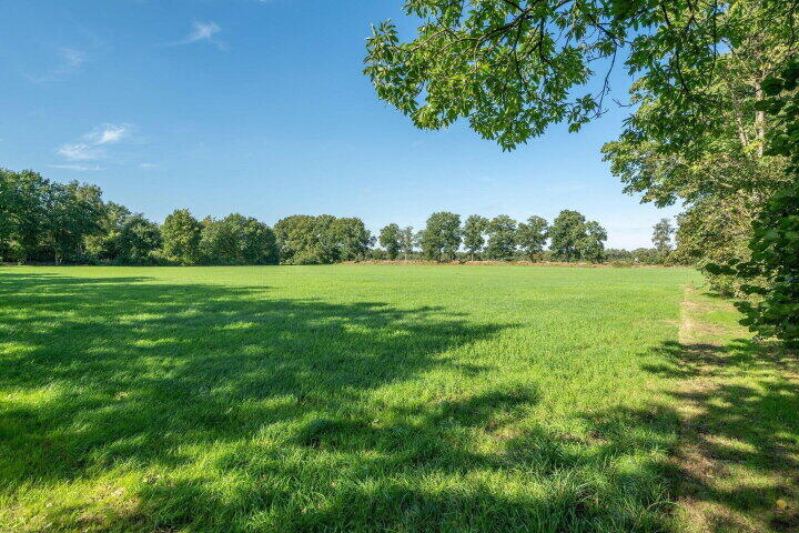 Foto 37 – Sprakelingen 17, Wittelte