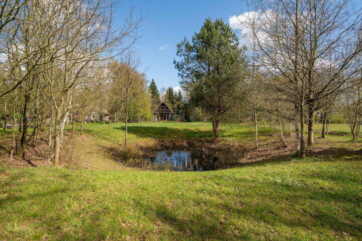Foto 5 – Sprakelingen 17, Wittelte