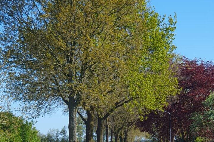 Foto 49 – Stakenbergweg 166, Elspeet