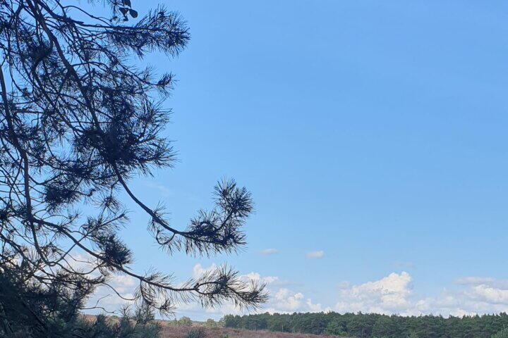 Foto 50 – Stakenbergweg 166, Elspeet