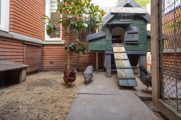 Foto 27 – Starnmeerstraat 37, Den Haag