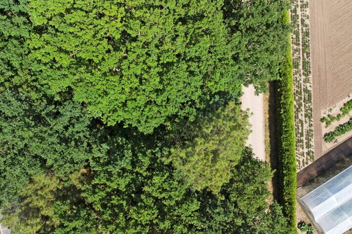 Foto 56 – Steenoven 12 B 47, Meijel