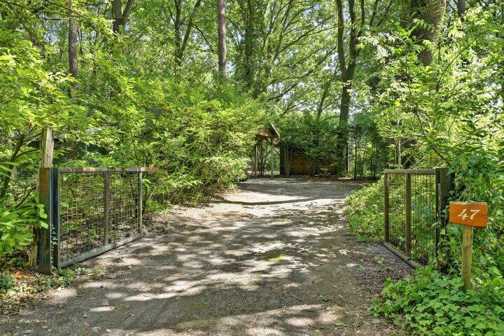 Foto 10 – Steenoven 12 B 47, Meijel