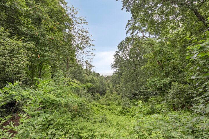 Foto 35 - Stollenbergweg 114, Berg en Dal