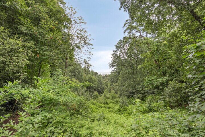 Foto 35 - Stollenbergweg 114, Berg en Dal