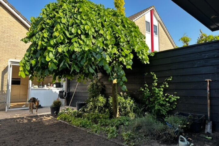 Foto 45 - Suze Groeneweglaan 2, Elst