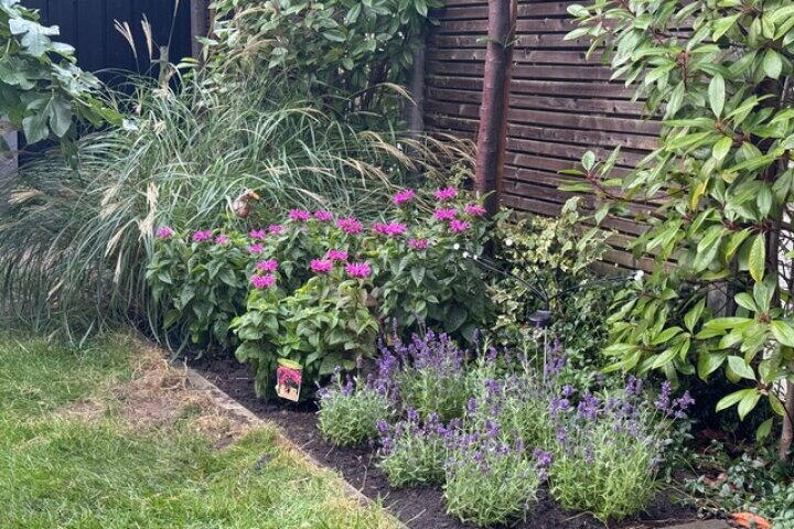 Foto 46 - Suze Groeneweglaan 2, Elst