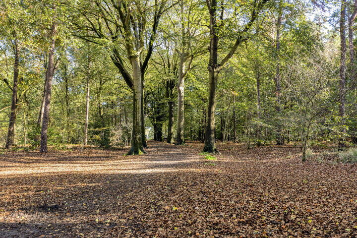 Foto 29 – Tanzanietdijk 46, Roosendaal