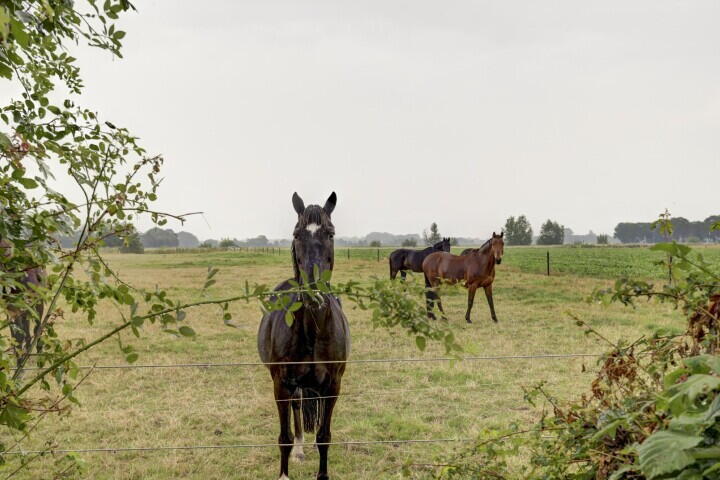 Foto 42 - Ter Poorteweg 13 A, Koudekerke