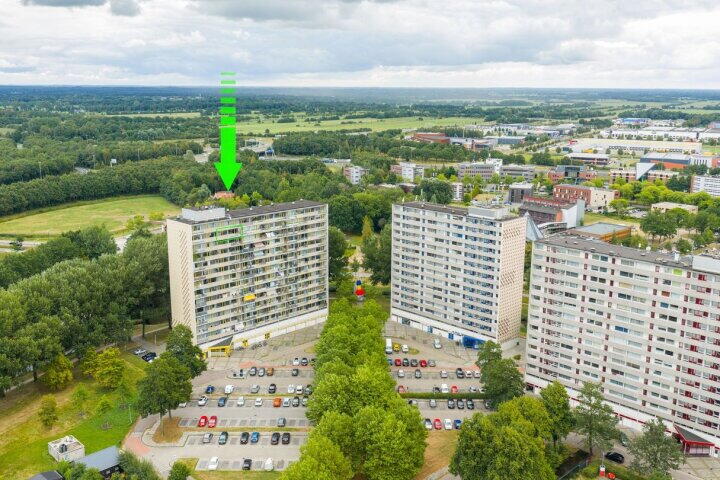 Tjaarda 428