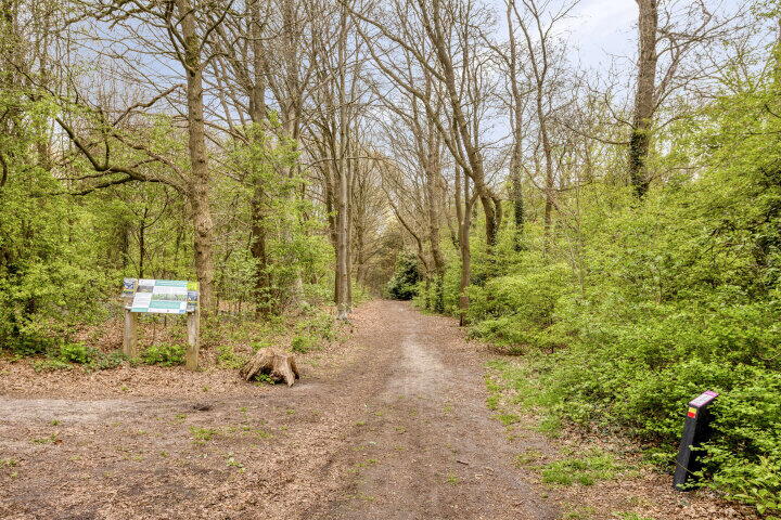 Foto 46 – Torenstraat 7, Gassel