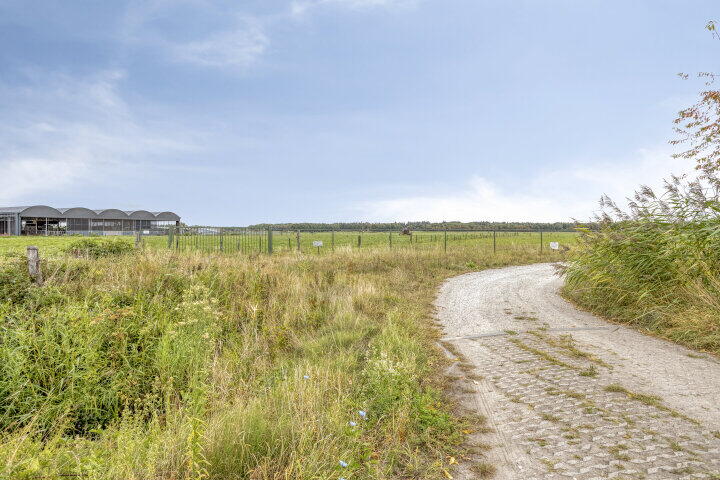 Foto 43 - Travertijndijk 37, Roosendaal