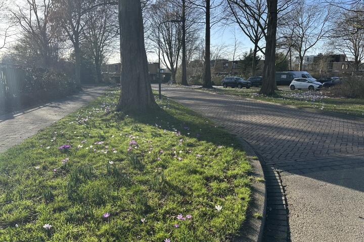 Foto 3 - Tulpentuin 311, Voorburg