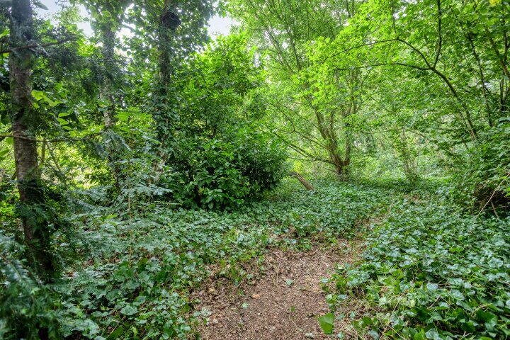 Foto 47 – Tunnelpad 19, Hernen
