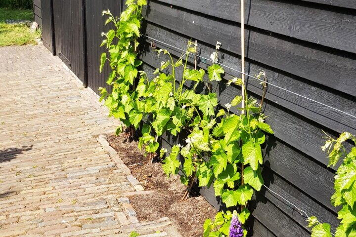 Foto 72 - Uffelterkerkweg 3, Havelte