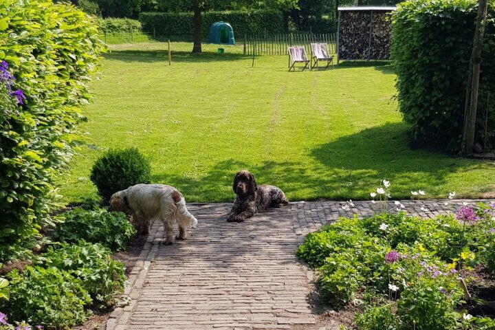 Foto 73 - Uffelterkerkweg 3, Havelte