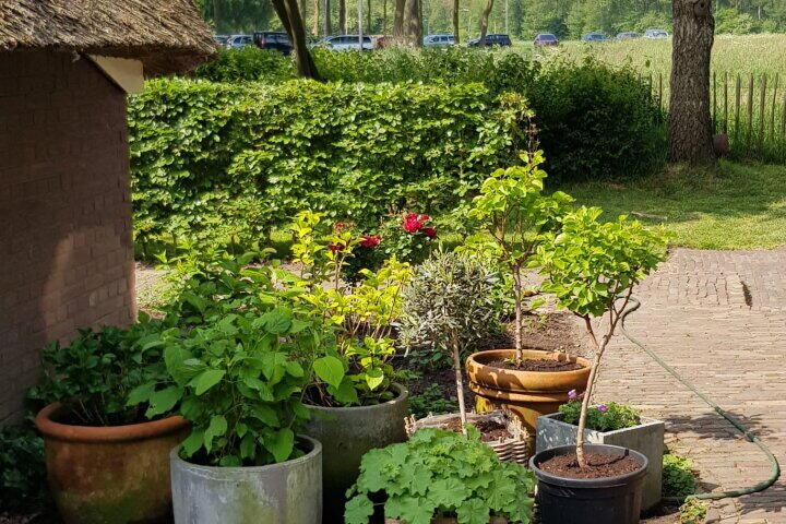 Foto 74 - Uffelterkerkweg 3, Havelte