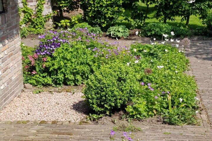 Foto 78 - Uffelterkerkweg 3, Havelte