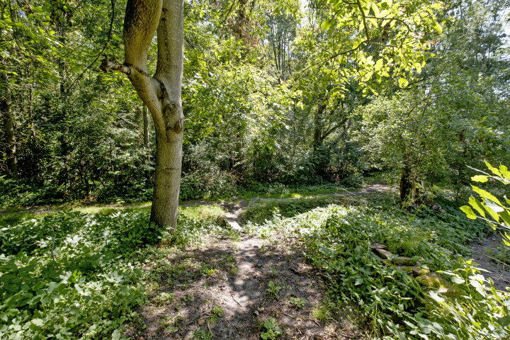 Foto 44 – Uiterburen 36, Zuidbroek