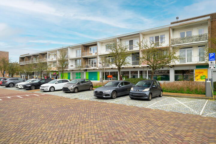 Ursulaland 100 , den haag