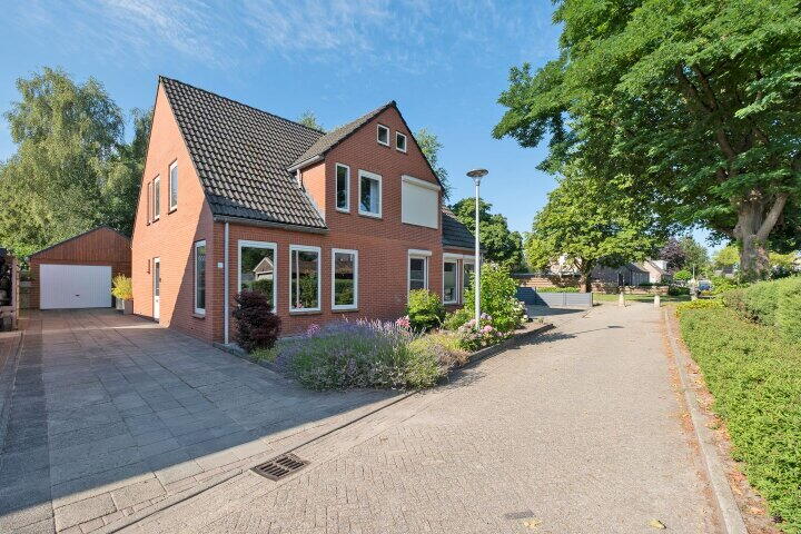 Veenbes 41