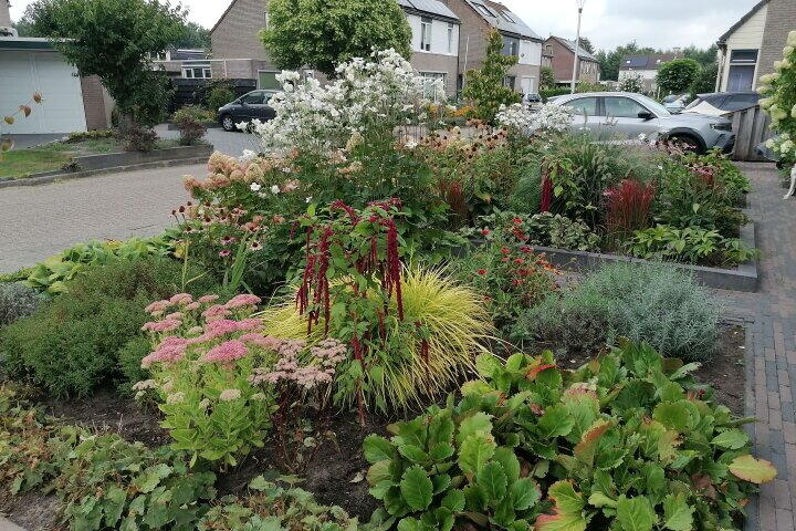 Foto 34 - Veenlanden 18, Steenwijk