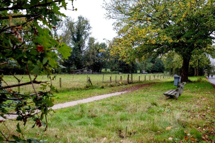 Foto 42 - Vestdijklaan 384, Groningen