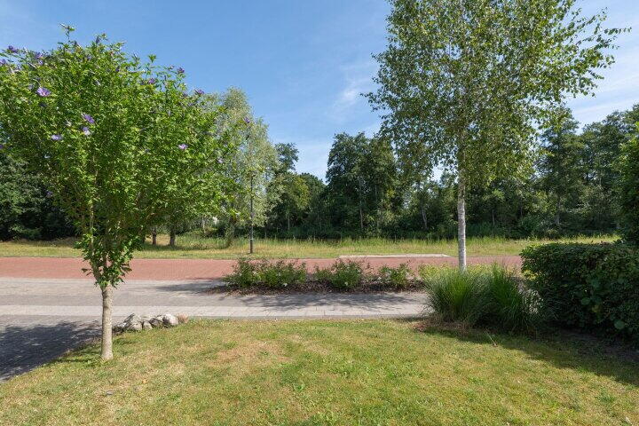 Foto 2 – Waterlelie 31, Drachten