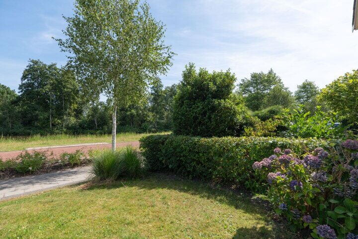 Foto 44 – Waterlelie 31, Drachten