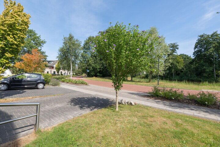 Foto 7 – Waterlelie 31, Drachten