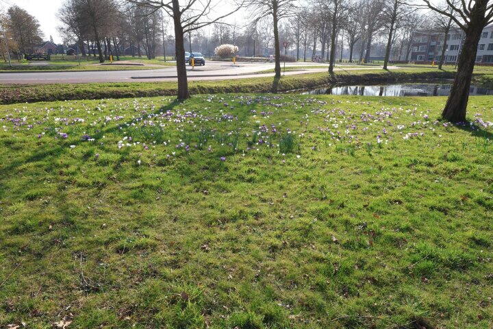 Foto 34 - Weiderand 9, Vriezenveen
