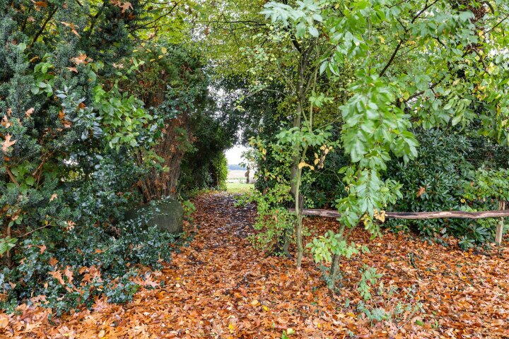 Foto 45 - Westdorperstraat 19, Borger