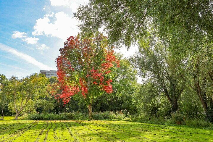 Foto 40 – Westelijk Halfrond 133 A, Amstelveen