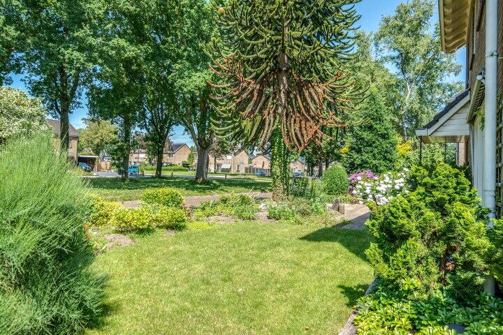 Foto 12 – Wethouder Deodatusplantsoen 21, Roden