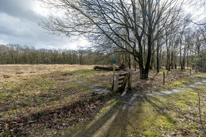 Foto 33 - Wijsterseweg 18 19, Spier