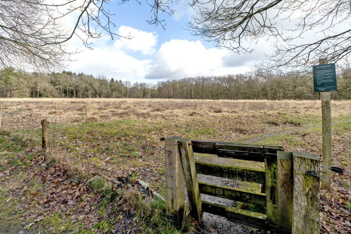 Foto 37 - Wijsterseweg 18 19, Spier