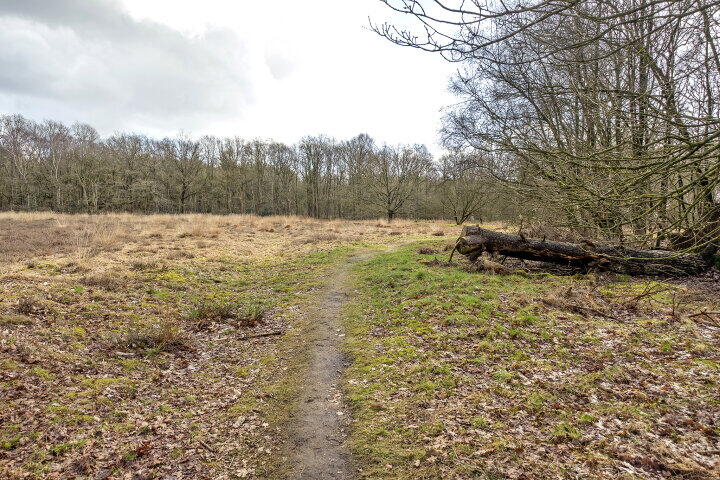 Foto 39 - Wijsterseweg 18 19, Spier