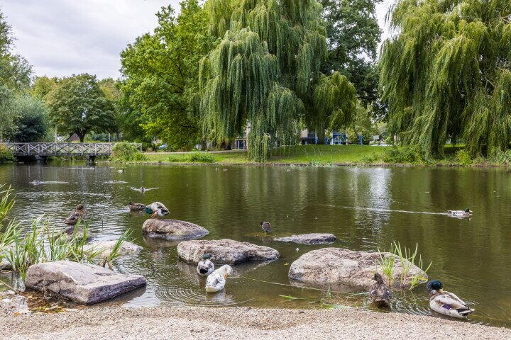 Foto 47 - Wilgenhof 25, Leersum