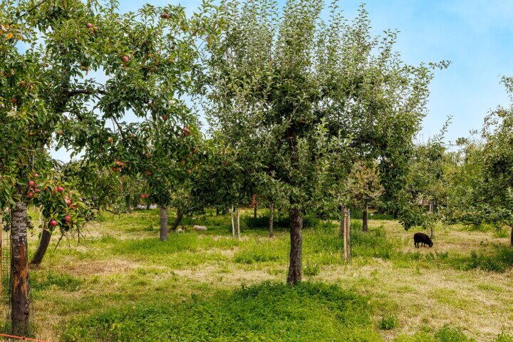 Foto 51 – Willem-Alexanderweg 1 a, Cothen