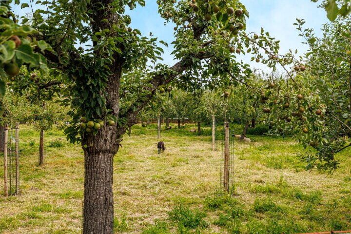 Foto 52 – Willem-Alexanderweg 1 a, Cothen