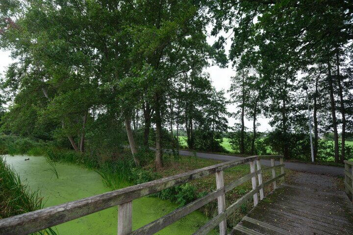 Foto 51 - Zaailand 60, Drachten